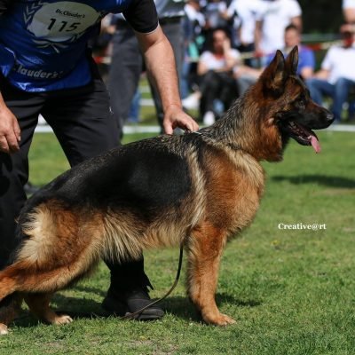 NIKITA DU VAL D'ANZIN
